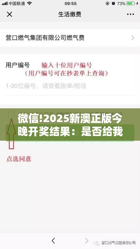 微信!2025新澳正版今晚开奖结果：是否给我们提供借鉴？详细作答落实解释