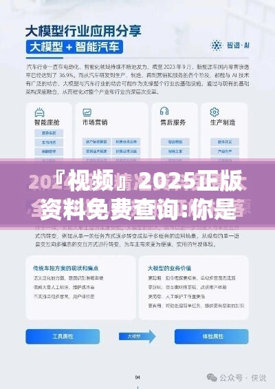 『视频』2025正版资料免费查询:你是否真的了解？哔哩哔哩