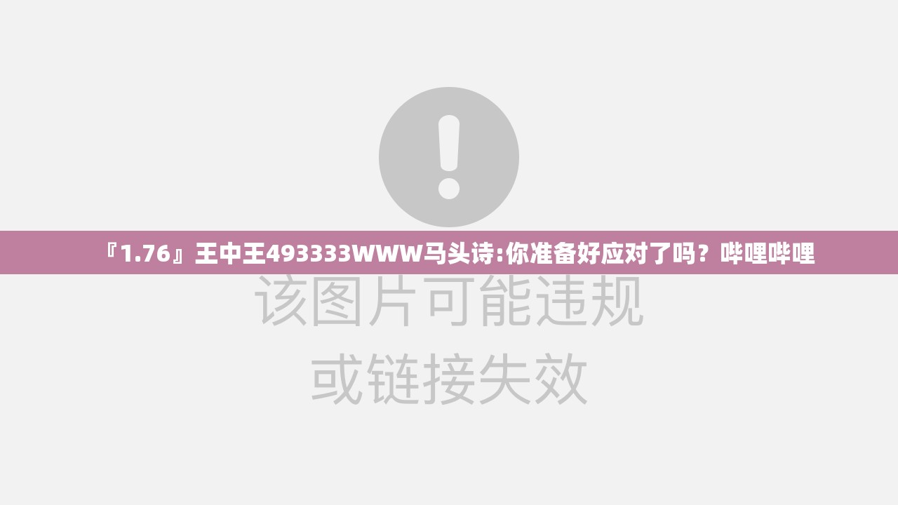 『1.76』王中王493333WWW马头诗:你准备好应对了吗？哔哩哔哩