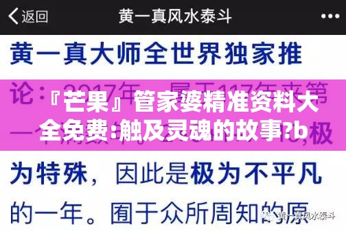 『芒果』管家婆精准资料大全免费:触及灵魂的故事?bilibili