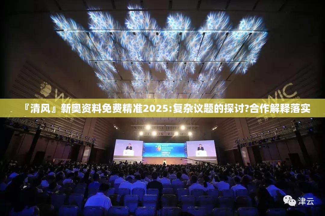 『清风』新奥资料免费精准2025:复杂议题的探讨?合作解释落实