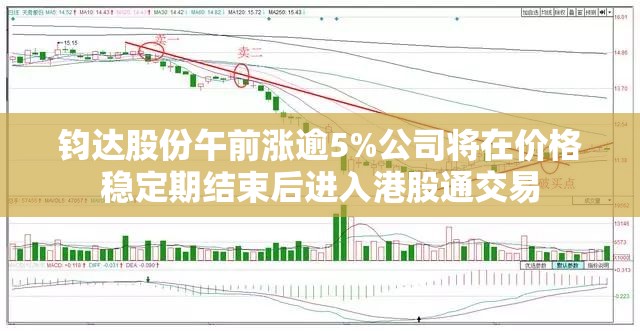 钧达股份午前涨逾5%公司将在价格稳定期结束后进入港股通交易