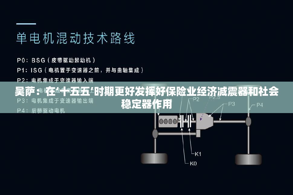 吴萨：在‘十五五’时期更好发挥好保险业经济减震器和社会稳定器作用