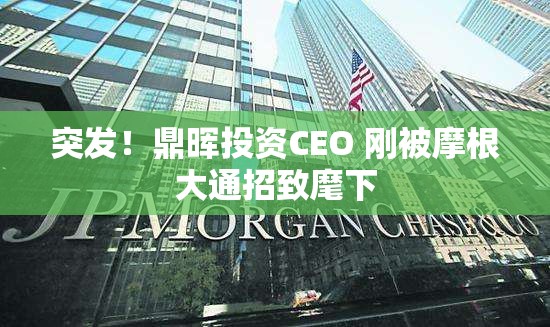 突发！鼎晖投资CEO 刚被摩根大通招致麾下