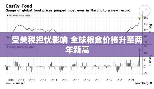受关税担忧影响 全球粮食价格升至两年新高