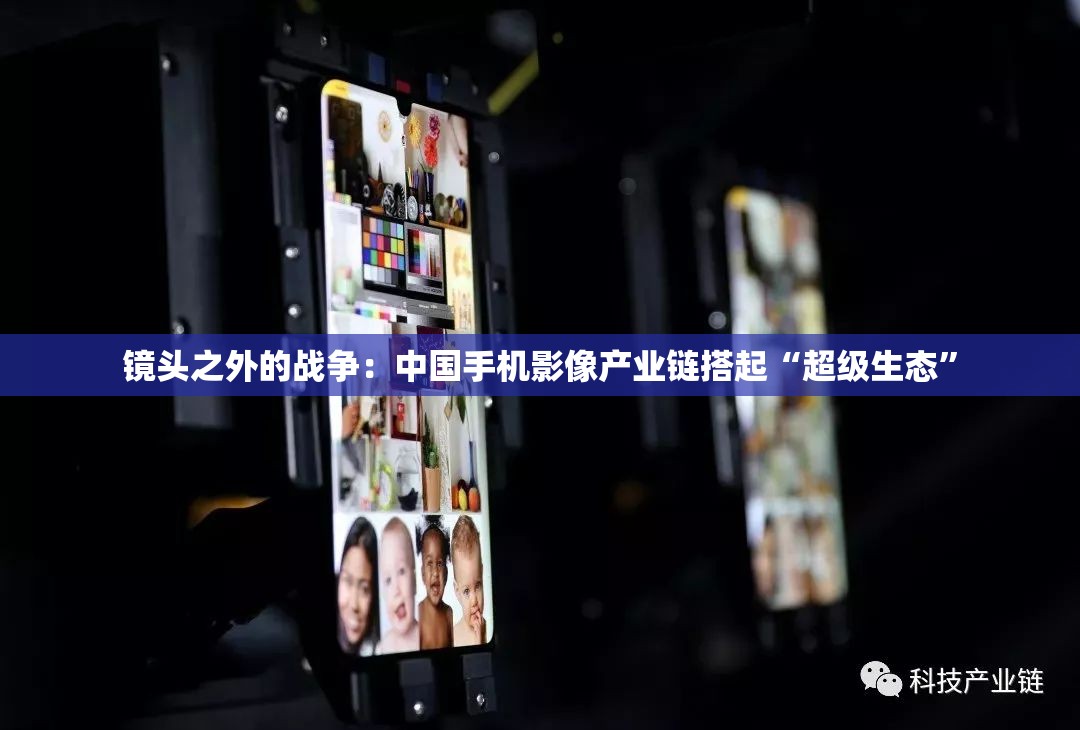 体育 第8页