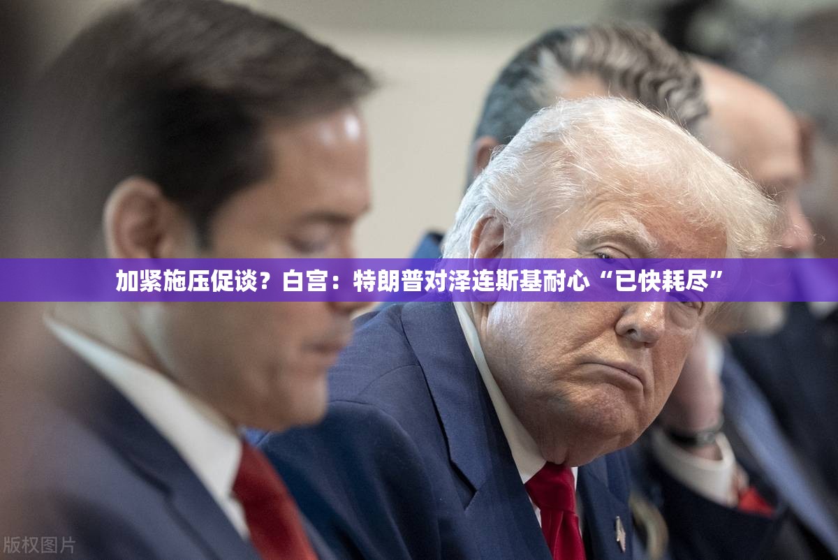 加紧施压促谈？白宫：特朗普对泽连斯基耐心“已快耗尽”
