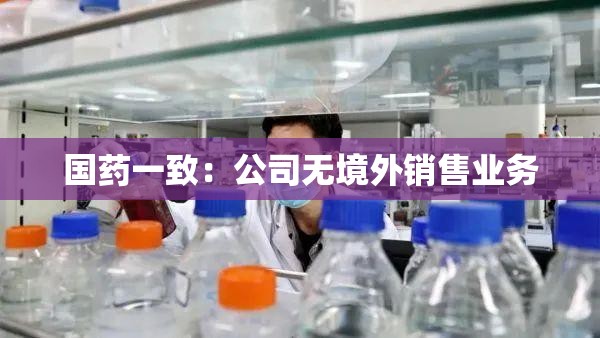 国药一致：公司无境外销售业务