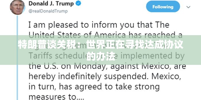 尹志新