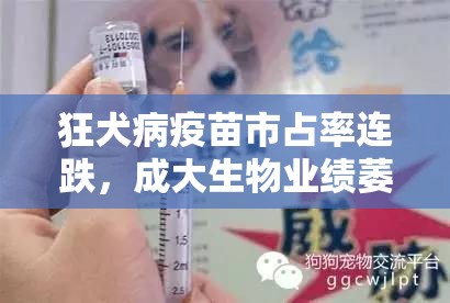 狂犬病疫苗市占率连跌，成大生物业绩萎缩突围难