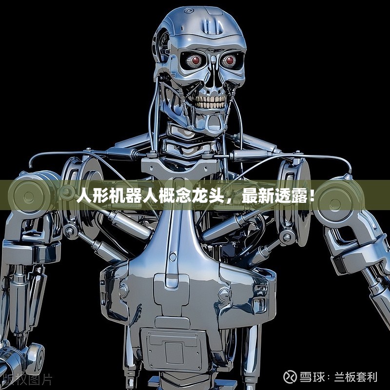 人形机器人概念龙头，最新透露！