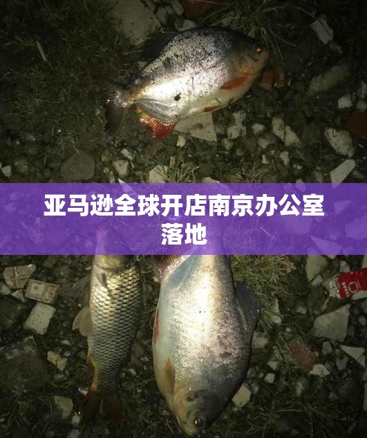 亚马逊全球开店南京办公室落地