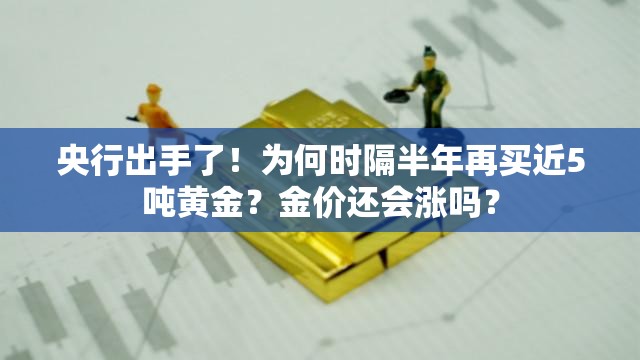 央行出手了！为何时隔半年再买近5吨黄金？金价还会涨吗？