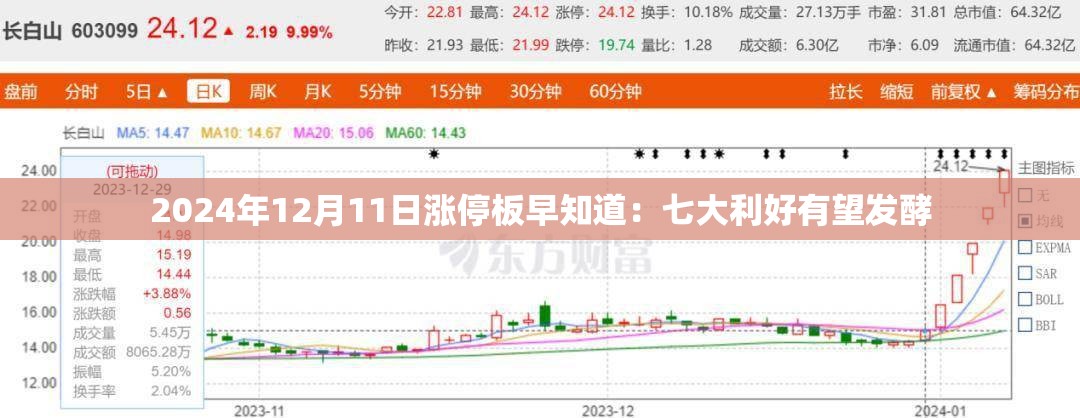 2024年12月11日涨停板早知道：七大利好有望发酵