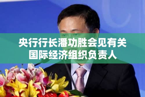 央行行长潘功胜会见有关国际经济组织负责人