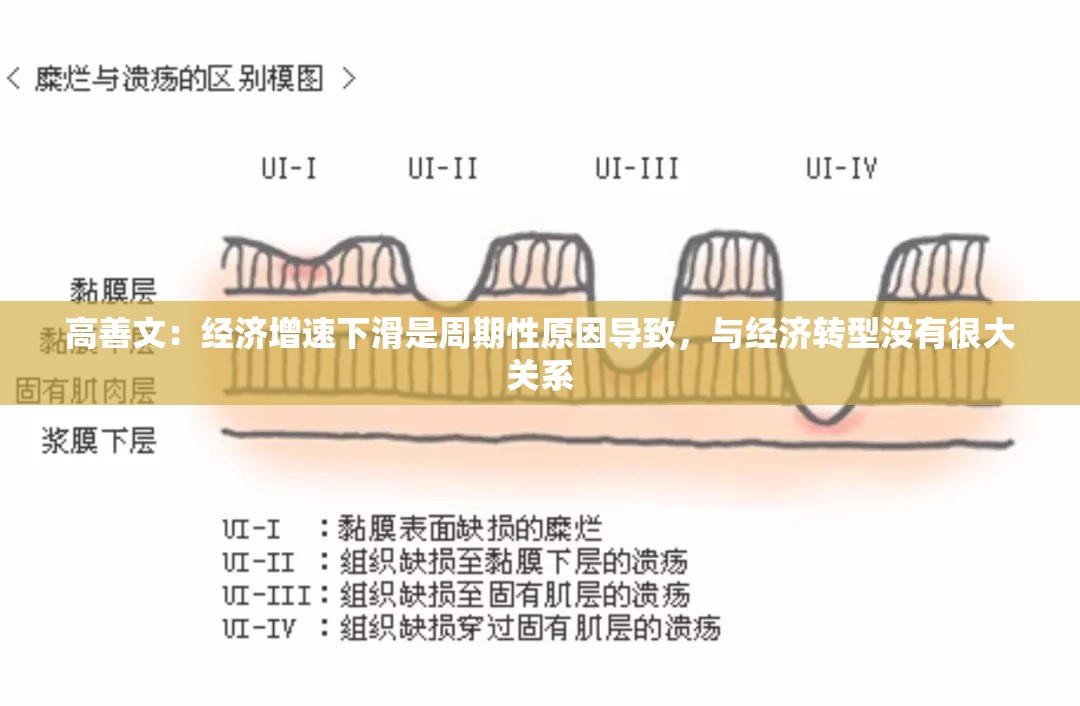 高善文：经济增速下滑是周期性原因导致，与经济转型没有很大关系